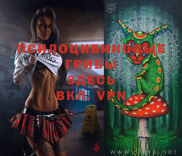 ПСИЛОЦИБИНОВЫЕ ГРИБЫ Гусь-Хрустальный