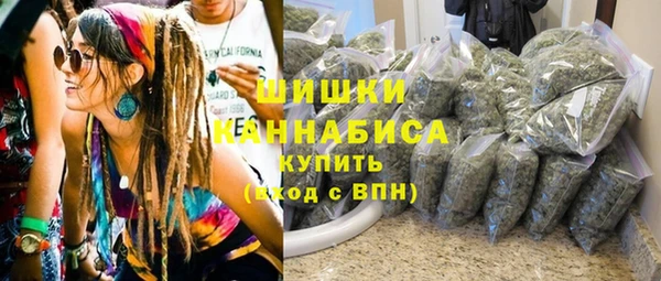 ПСИЛОЦИБИНОВЫЕ ГРИБЫ Гусь-Хрустальный
