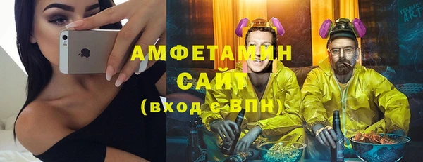 ПСИЛОЦИБИНОВЫЕ ГРИБЫ Гусь-Хрустальный