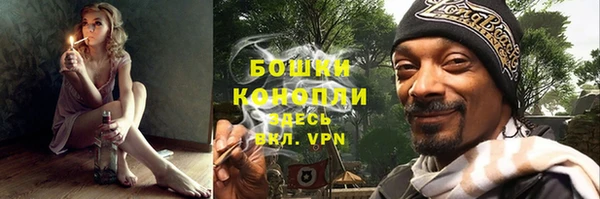 ПСИЛОЦИБИНОВЫЕ ГРИБЫ Гусь-Хрустальный