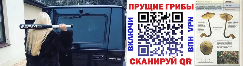 Галлюциногенные грибы Cubensis  Купить  Нижний Тагил 